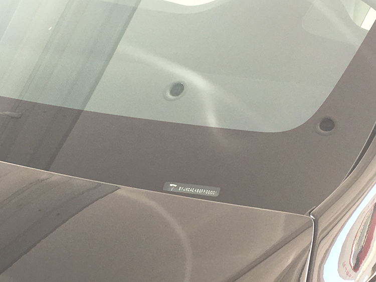 tesla_model_x_musk_2