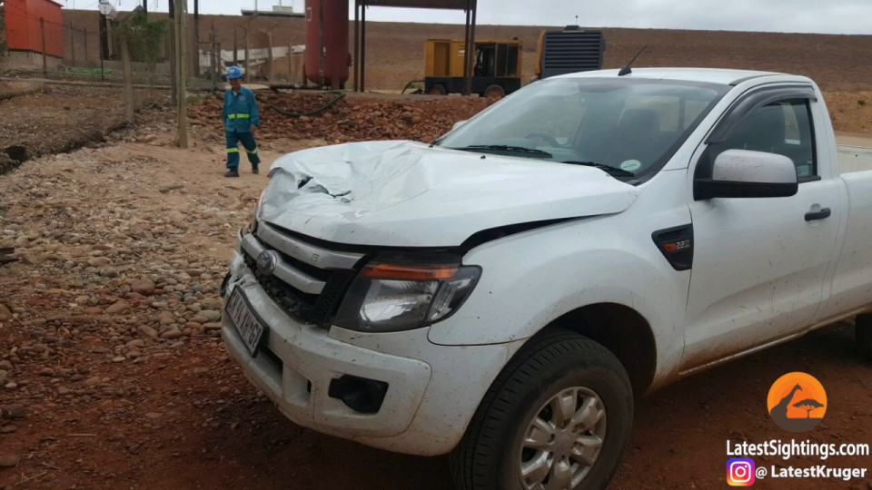 hippo-car-05-12-2016-3
